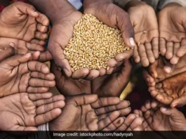 Kraje zagrożone brakiem żywności. Wszystkiemu winna pogoda