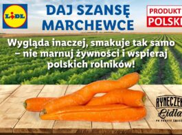 Historia pewnej krzywej marchewki, czyli przeciwdziałanie marnowaniu żywności w Lidl Polska