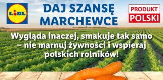 Historia pewnej krzywej marchewki, czyli przeciwdziałanie marnowaniu żywności w Lidl Polska