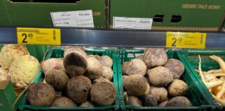 Ile kosztują selery i buraki ćwikłowe – ceny hurt/detal pod koniec października
