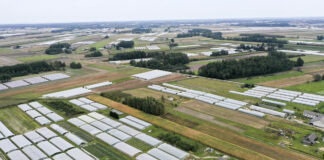 Ekoschemat: Prowadzenie produkcji roślinnej w systemie Integrowanej Produkcji Roślin