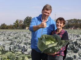 DUUUże głowy. JEST MASA – BĘDZIE KASA!