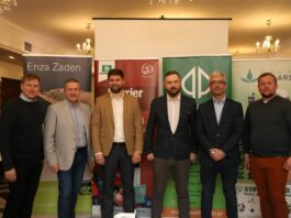 Zdrowa sałata i rzodkiewka