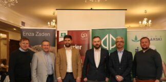 Zdrowa sałata i rzodkiewka