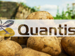 QUANTIS – pierwszy biostymulator od Syngenty