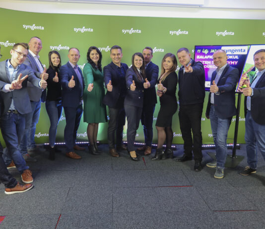 Kalafior i brokuł. Dobrze zaplanowana i udana produkcja