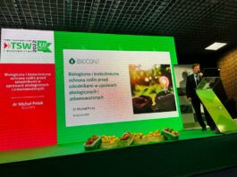 Biorozwiązania sprawdzają się w uprawach warzyw