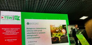 Biorozwiązania sprawdzają się w uprawach warzyw