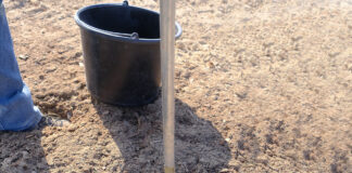 Analiza gleby pod uprawę warzyw – cz. II – nowe możliwości