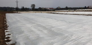 W kwietniu wróci mróz. Plantacje zagrożone!