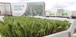 Już można zamawiać rozsady!