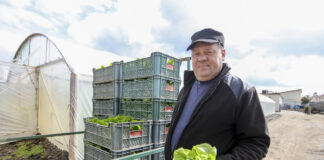 Nowalijki – pierwsze polskie warzywa są już dostępne