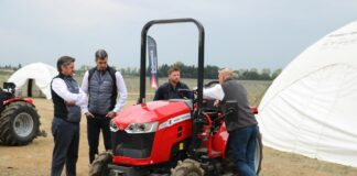 Nowe ciągniki Massey Ferguson do pracy w gospodarstwach warzywniczych (Cz. 1)