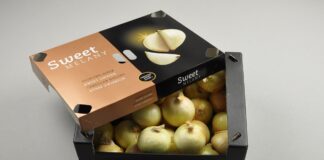 Cebula cukrowa na topie! cebula słodka odmiany