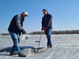 Analiza gleby pod uprawę warzyw – cz. I – znaczenie analizy
