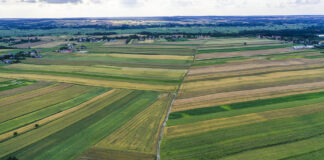Potrzebna jest rewizja Europejskiego Zielonego Ładu. Apel Ministrów!