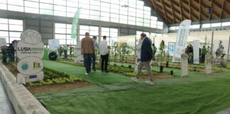 Specjalistyczne maszyny i nie tylko na Macfrut 2022