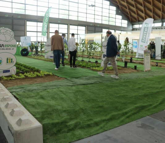 Specjalistyczne maszyny i nie tylko na Macfrut 2022