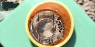 Komunikat warzywniczy 8 maja 2022 – śmietka atakuje warzywa kapustne