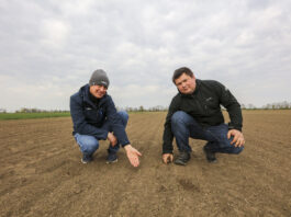 Idealna cebula, wyrównane wschody i potencjał na wysokie plony. Tak to się robi na Żuławach!