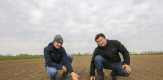 Idealna cebula, wyrównane wschody i potencjał na wysokie plony. Tak to się robi na Żuławach!