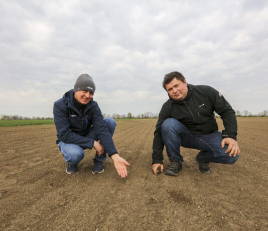 Idealna cebula, wyrównane wschody i potencjał na wysokie plony. Tak to się robi na Żuławach!