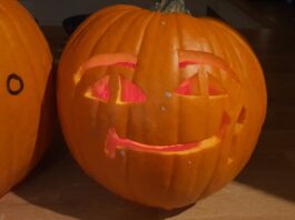 Dynia podbija polskie rolnictwo!