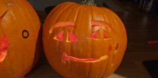 Dynia podbija polskie rolnictwo!