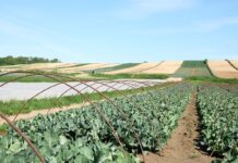 Przepisy, na które czekali rolnicy wejdą w życie.