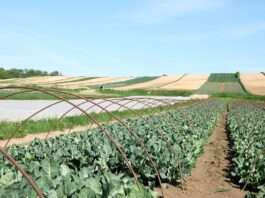 Przepisy, na które czekali rolnicy wejdą w życie.