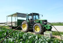 PIORiN opublikował kolejne metodyki IP. To szansa na dopłaty dla producentów metodyki IP