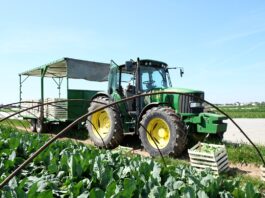 PIORiN opublikował kolejne metodyki IP. To szansa na dopłaty dla producentów metodyki IP