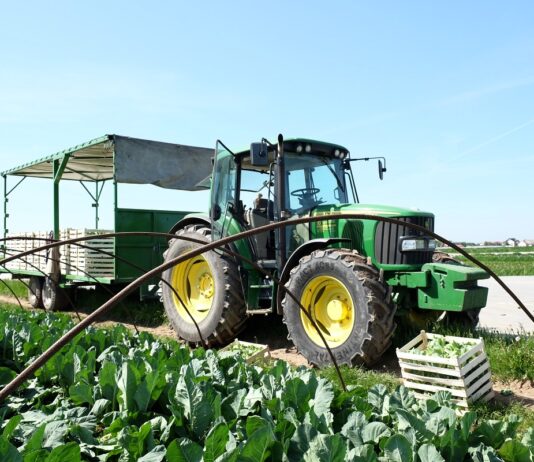 PIORiN opublikował kolejne metodyki IP. To szansa na dopłaty dla producentów metodyki IP