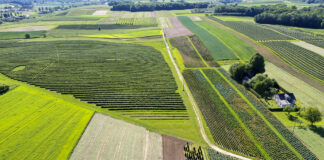 Do kiedy można składać wnioski o dopłaty