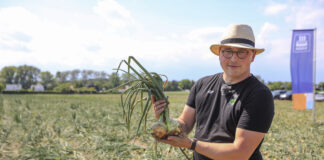 Cebule zimujące z potencjałem na wysokie plony Pweł Wechterowicz