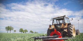 Oszczędności to teraz największy zarobek