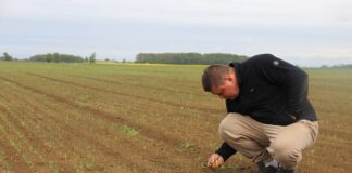 Cebula 2022 – czy to będzie dobry sezon?