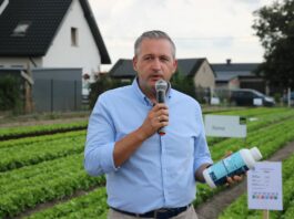 Zabezpieczenie sałaty bez problemów z pozostałościami