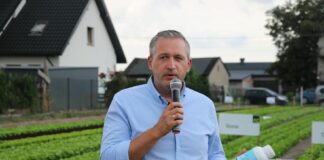 Zabezpieczenie sałaty bez problemów z pozostałościami