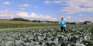 XXVI Charsznickie Dni Kapusty – 10-11 września 2022 R. – poletka odmianowe Syngenta – zaproszenie