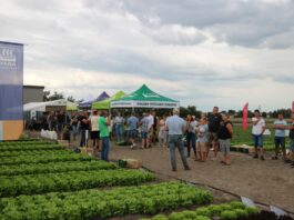 Dzień Sałatowo-rzodkiewkowy