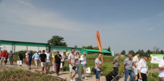 Uprawa cebuli i marchwi od A do Z!