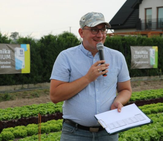 Zbilansowane nawożenie sałaty i rzodkiewki