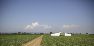 Maszyny do uprawy ogórków samolot do ogórków