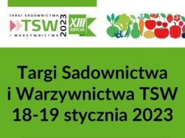 Ruszyła sprzedaż stoisk na TSW 2023!