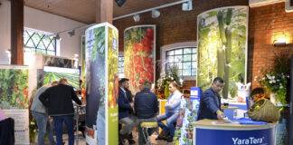 Dni Ogrodnika w Gołuchowie – edycja XXI już za nami