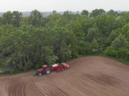 Rolnictwo regeneratywne i jego wpływ na produkcje