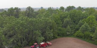 Rolnictwo regeneratywne i jego wpływ na produkcje