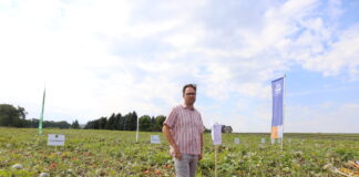 Nawożenie dyni – rekomendacje z Małopolskiego festiwalu dyni