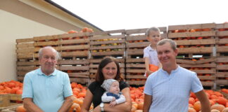 Małopolski festiwal dyń (cz. II) – odmiany z firmy Enza Zaden